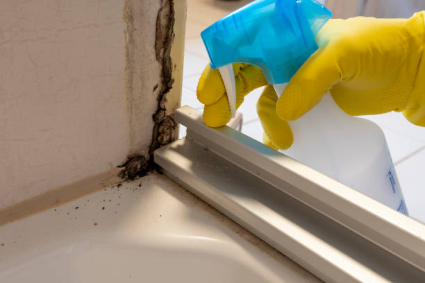 Best Crawl Space Mold Removal  in Brent, AL